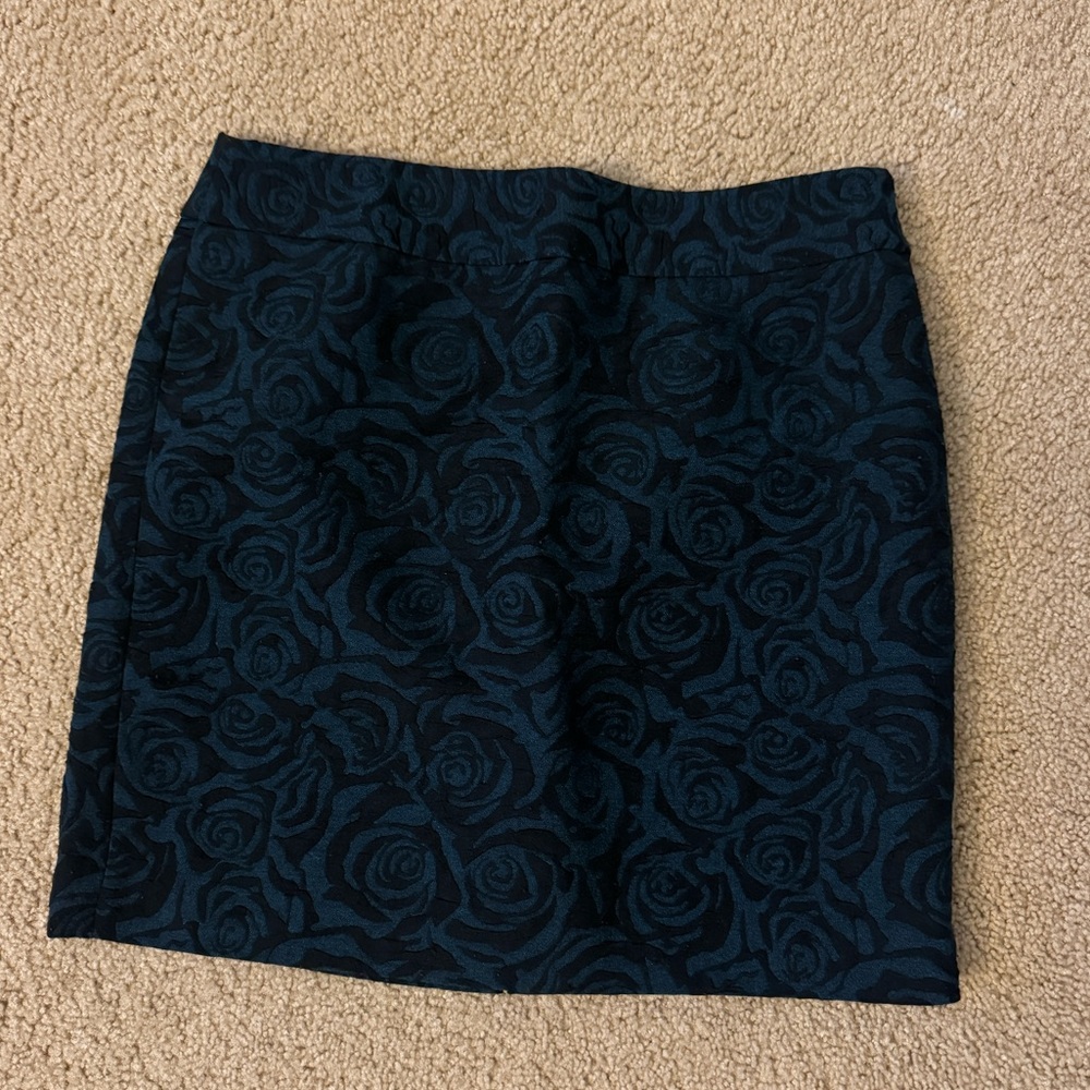 Ann Taylor skirt in women’s size 8